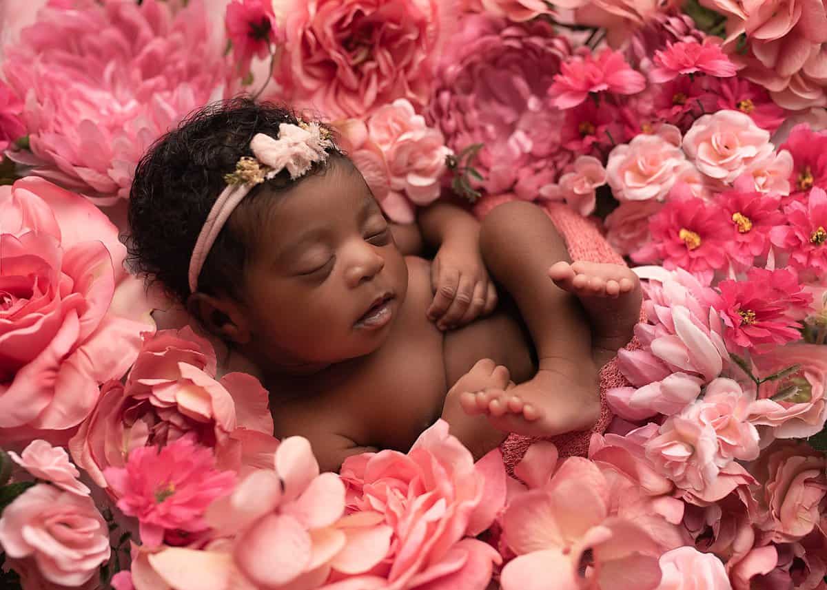 newborn baby girl pink photo set up in studio, newborn photographers in atlanta, newborn photographer near douglasville, when to do newborn photos, studio newborn photographer atlanta
