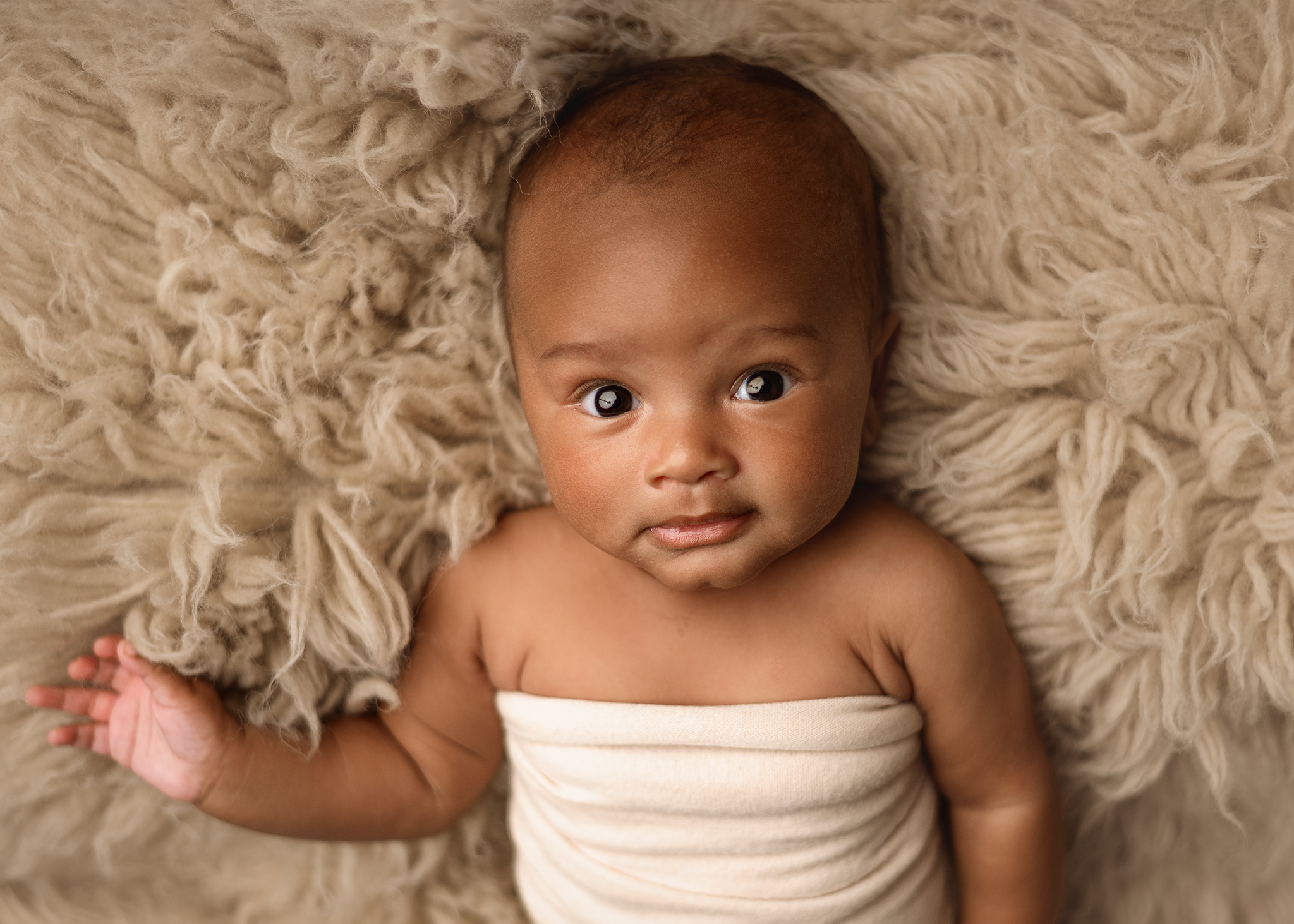 simple baby portrait session, lincoln photographers, nebraska baby photography, baby photographer, baby boy posed on fluffy rug for his simple in studio milestone session